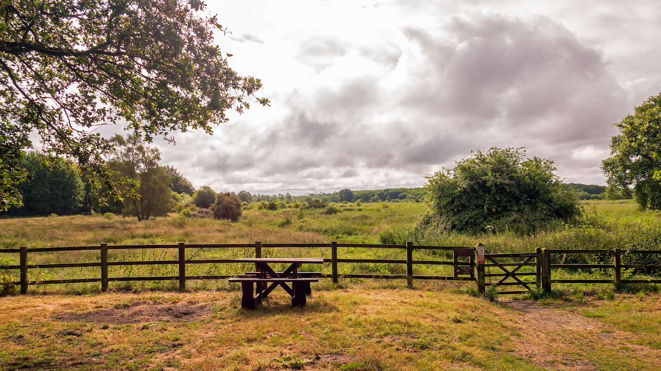 Redgrave & Lopham Fen — Largest Valley Fen in England